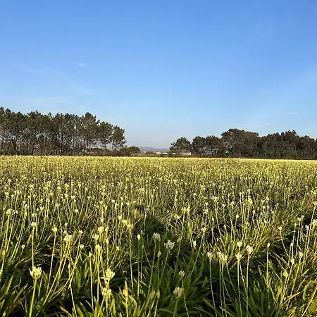 Prázdninový dům Countryhome Pomar *